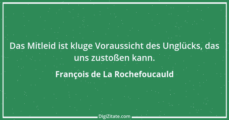 Zitat von François de La Rochefoucauld 704