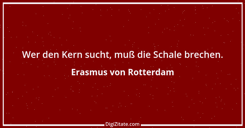 Zitat von Erasmus von Rotterdam 26