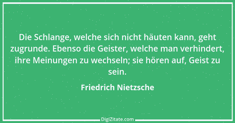 Zitat von Friedrich Nietzsche 1313