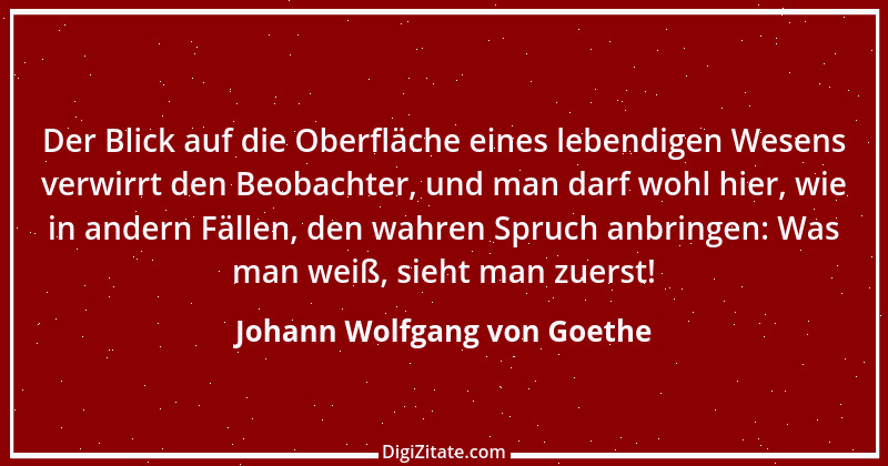 Zitat von Johann Wolfgang von Goethe 3376