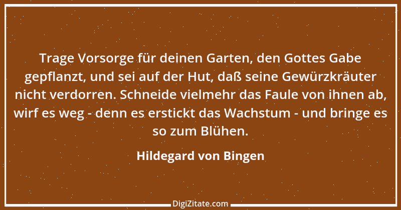 Zitat von Hildegard von Bingen 14