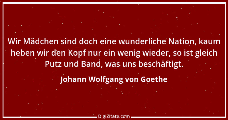 Zitat von Johann Wolfgang von Goethe 3378