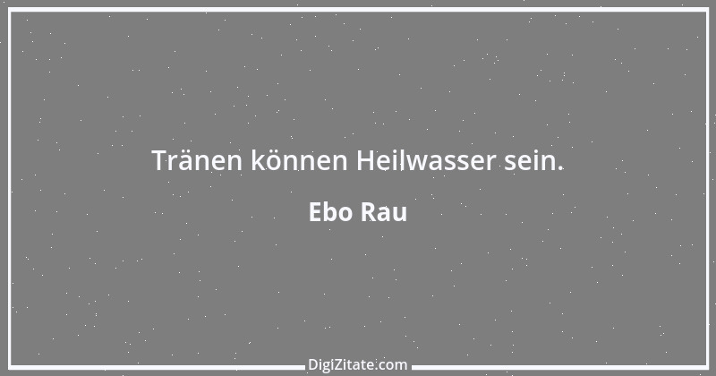 Zitat von Ebo Rau 132