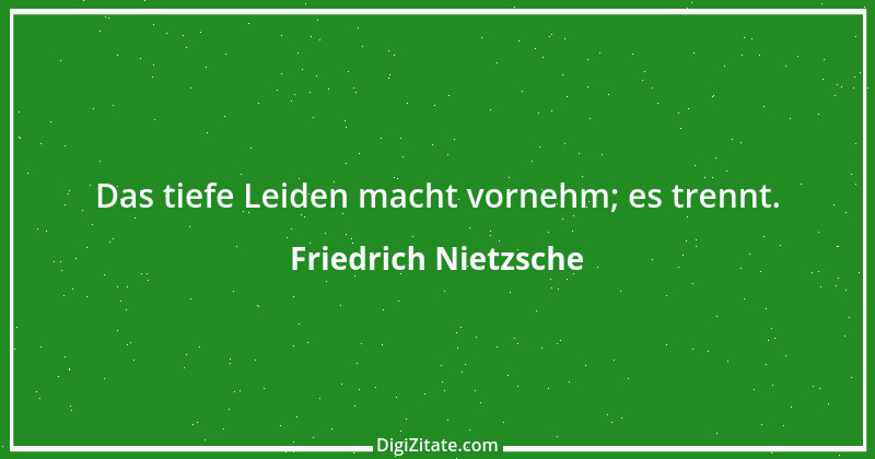 Zitat von Friedrich Nietzsche 316