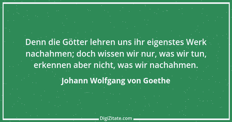 Zitat von Johann Wolfgang von Goethe 379