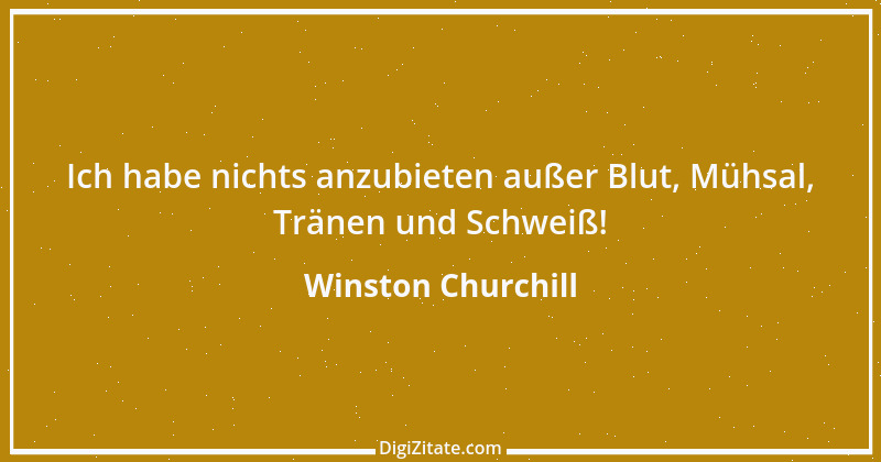 Zitat von Winston Churchill 55