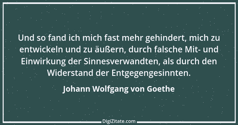 Zitat von Johann Wolfgang von Goethe 380