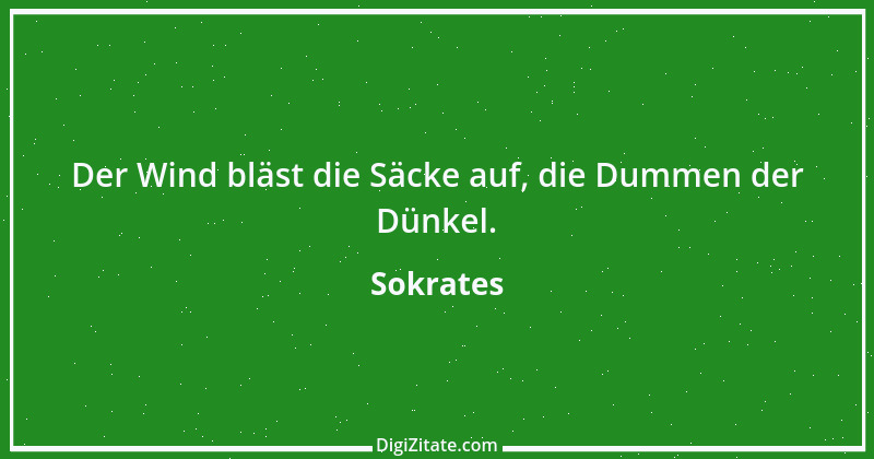 Zitat von Sokrates 65