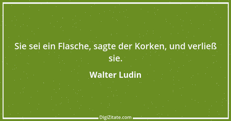 Zitat von Walter Ludin 883