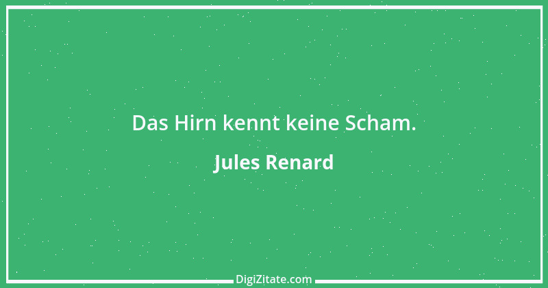 Zitat von Jules Renard 62