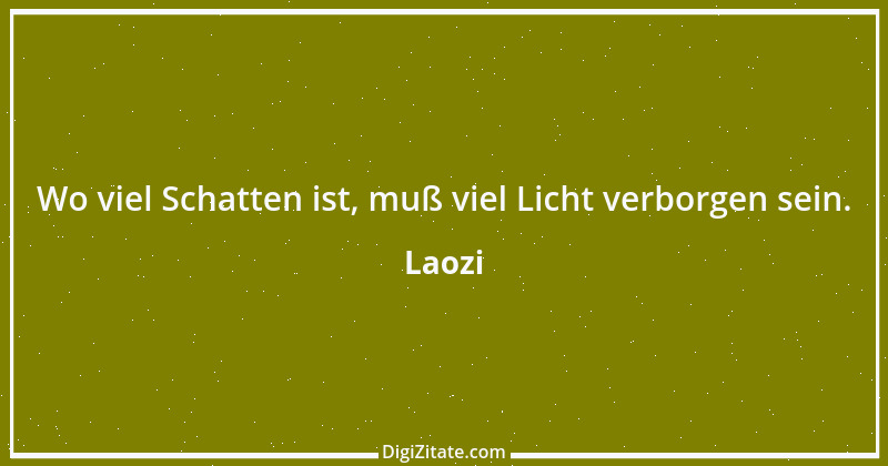 Zitat von Laozi 110