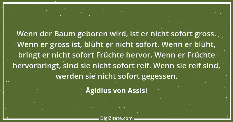 Zitat von Ägidius von Assisi 6