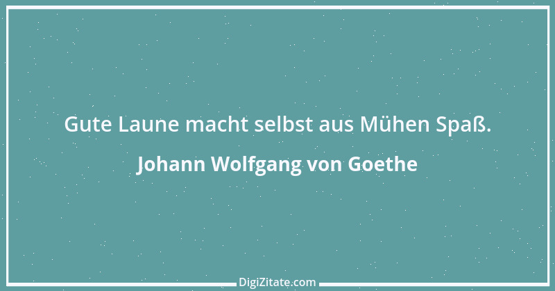 Zitat von Johann Wolfgang von Goethe 385