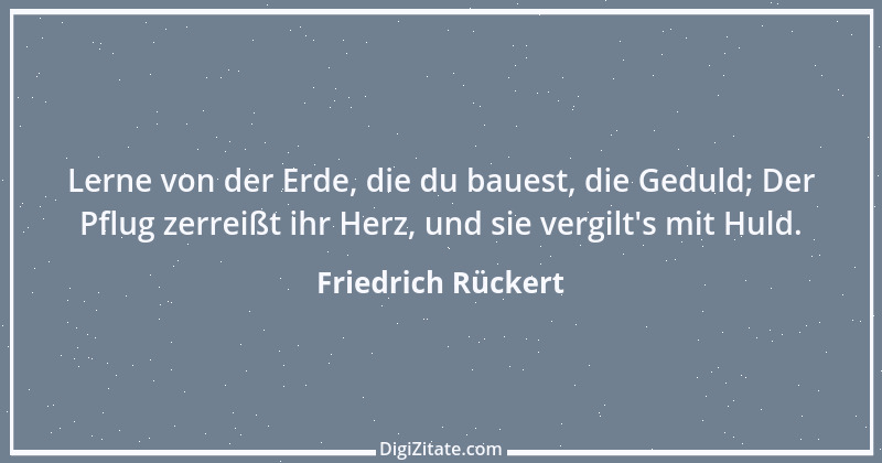 Zitat von Friedrich Rückert 355