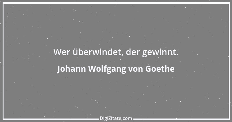 Zitat von Johann Wolfgang von Goethe 1387