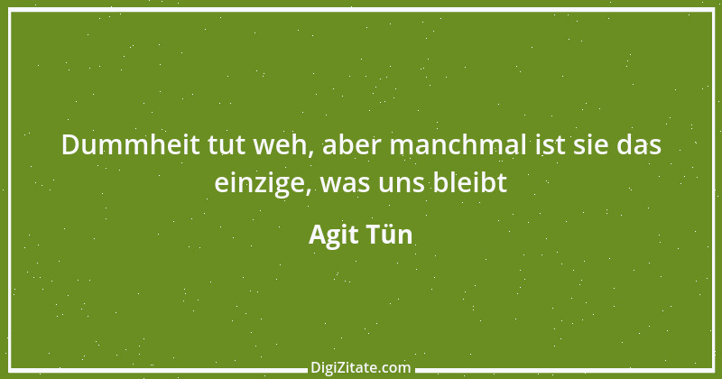 Zitat von Agit Tün 1