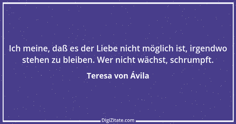 Zitat von Teresa von Ávila 8