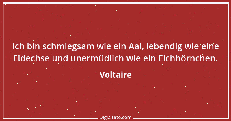 Zitat von Voltaire 34