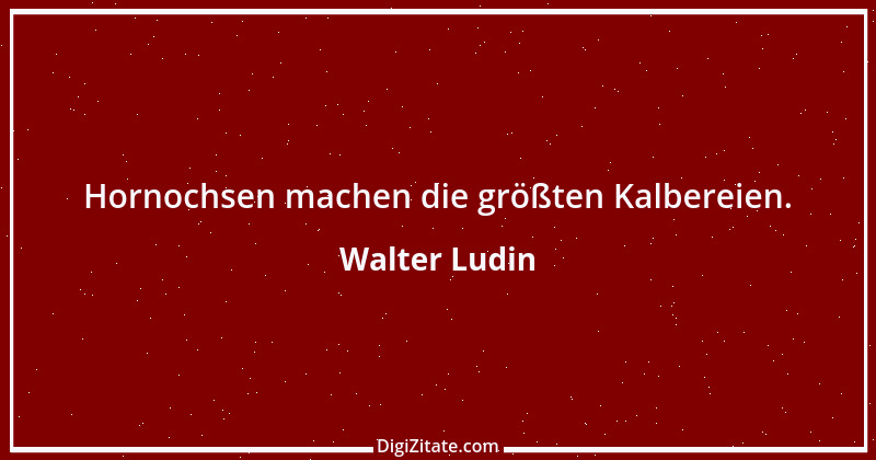 Zitat von Walter Ludin 891