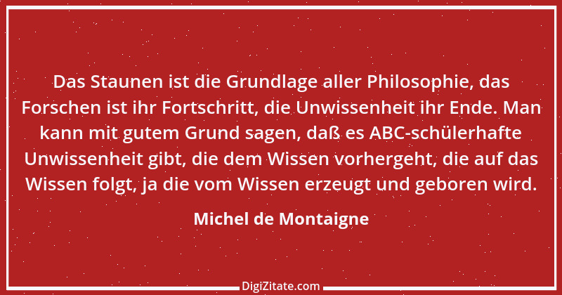 Zitat von Michel de Montaigne 78