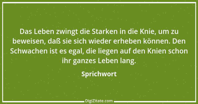 Zitat von Sprichwort 13382