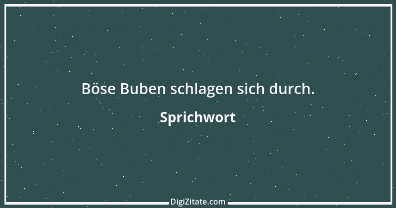 Zitat von Sprichwort 3382