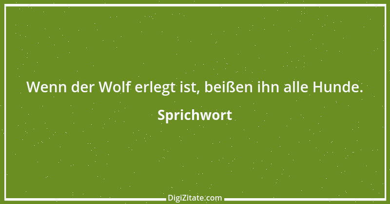 Zitat von Sprichwort 382