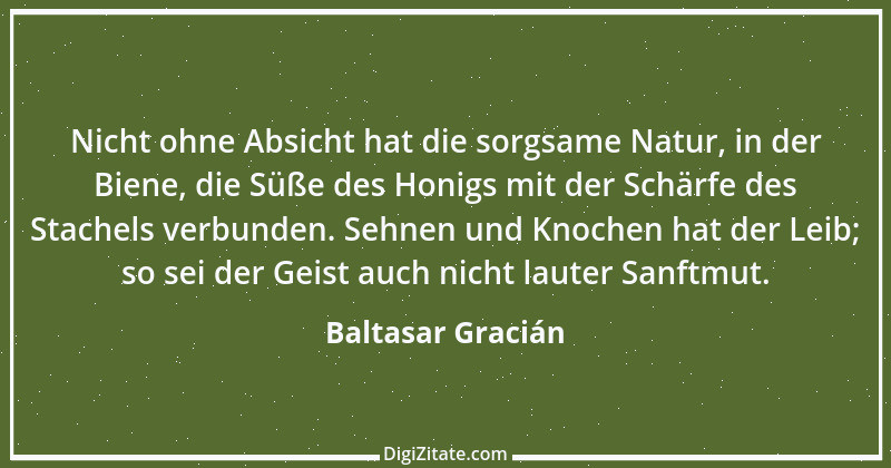 Zitat von Baltasar Gracián 196