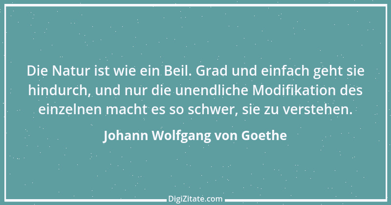 Zitat von Johann Wolfgang von Goethe 3391