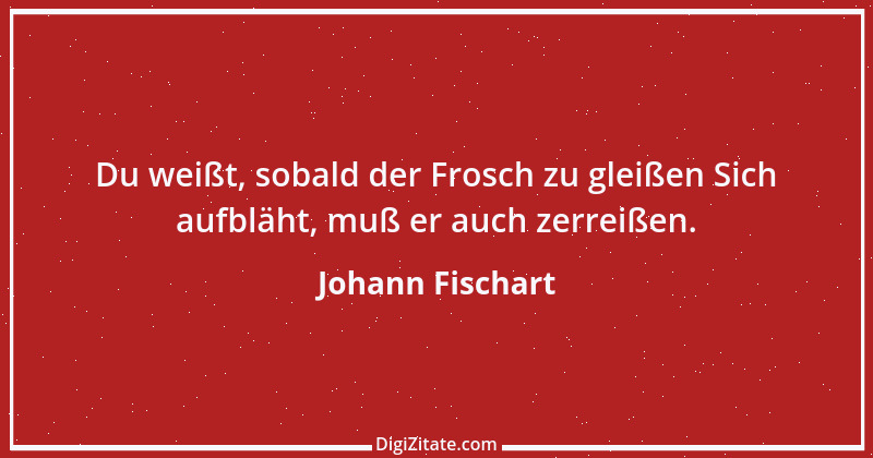 Zitat von Johann Fischart 21