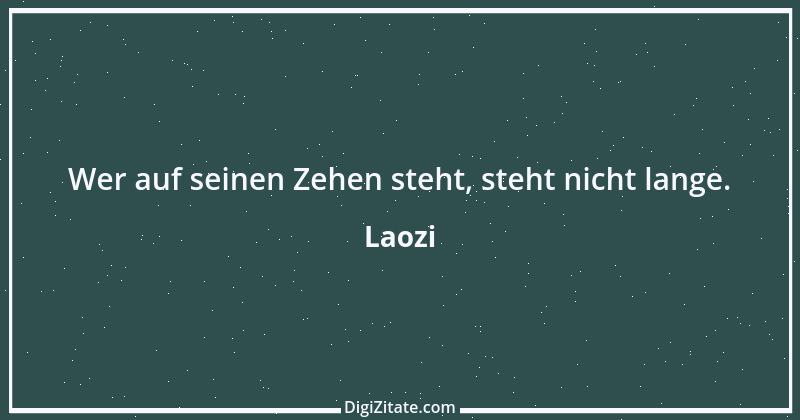 Zitat von Laozi 118