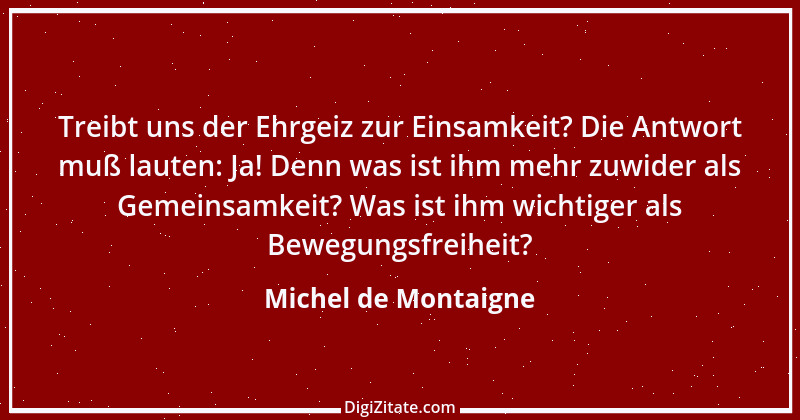 Zitat von Michel de Montaigne 80