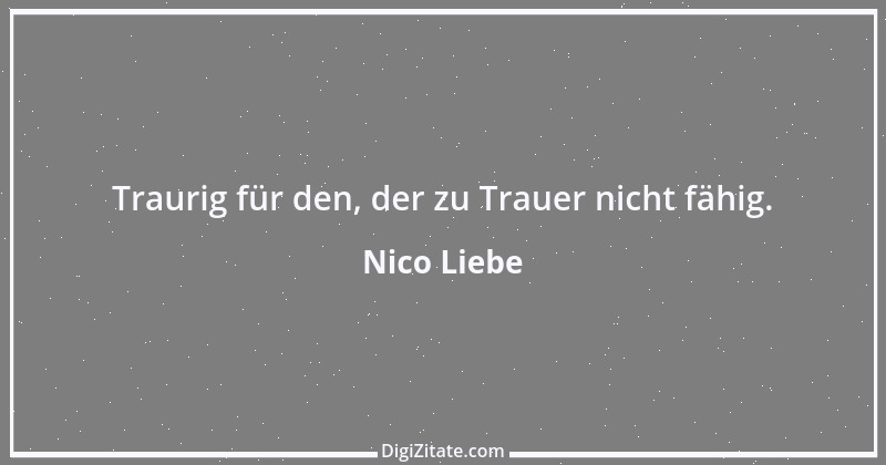 Zitat von Nico Liebe 2