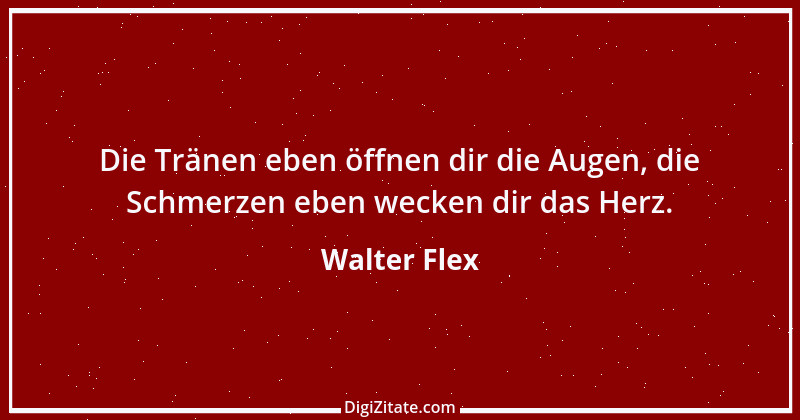 Zitat von Walter Flex 6