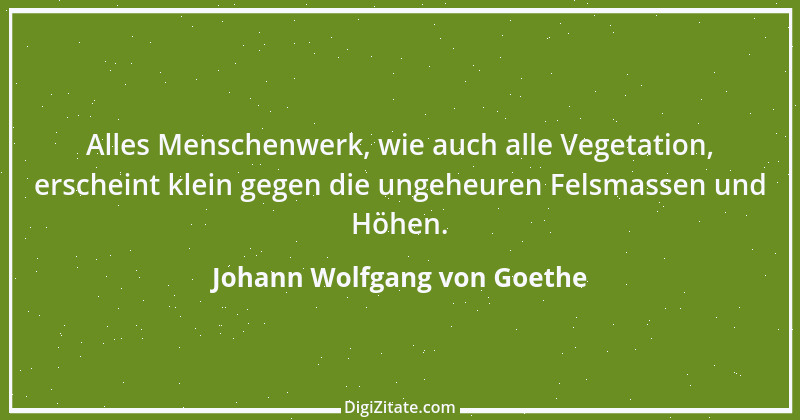 Zitat von Johann Wolfgang von Goethe 1393