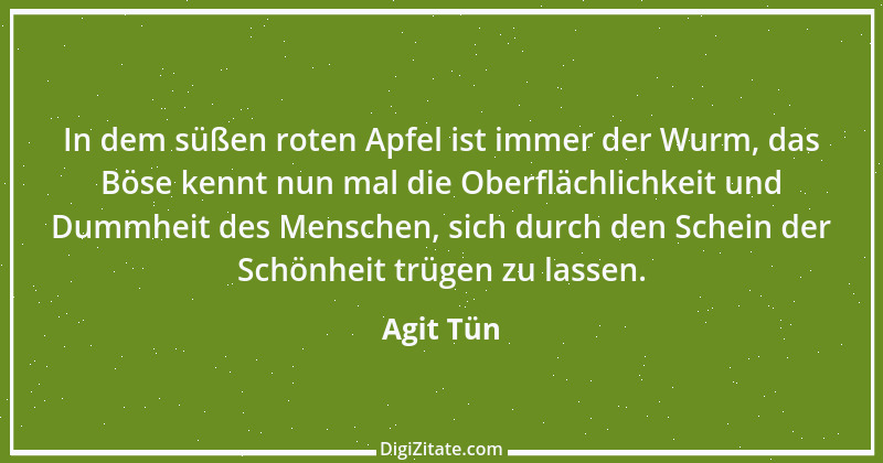 Zitat von Agit Tün 7