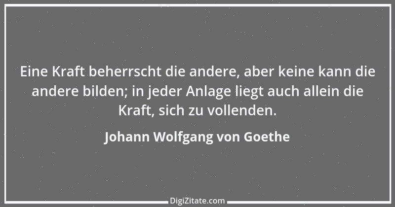 Zitat von Johann Wolfgang von Goethe 2394