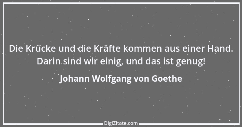 Zitat von Johann Wolfgang von Goethe 394