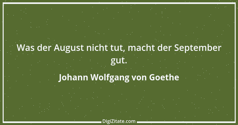 Zitat von Johann Wolfgang von Goethe 395