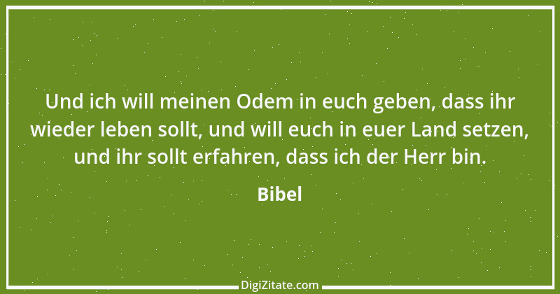 Zitat von Bibel 2828