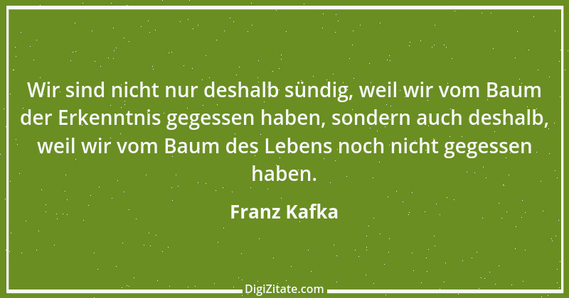 Zitat von Franz Kafka 148