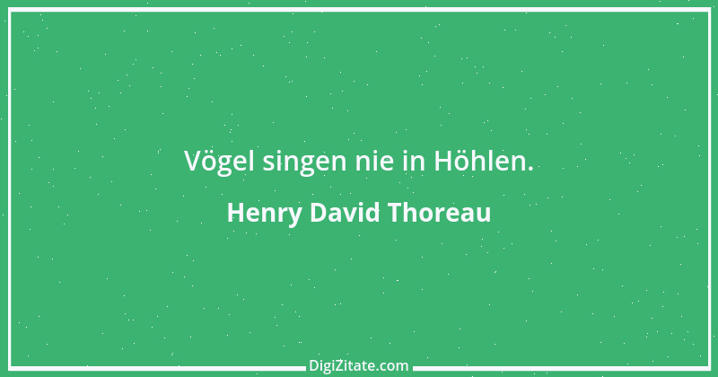 Zitat von Henry David Thoreau 36