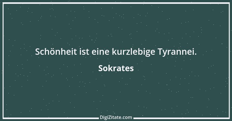 Zitat von Sokrates 81