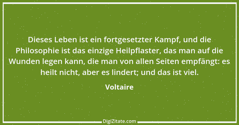 Zitat von Voltaire 41