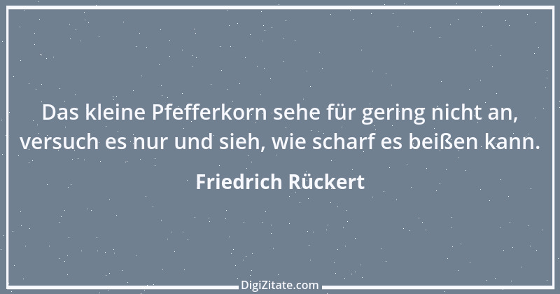 Zitat von Friedrich Rückert 366