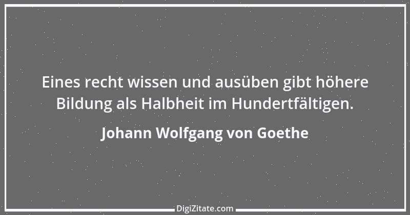 Zitat von Johann Wolfgang von Goethe 398