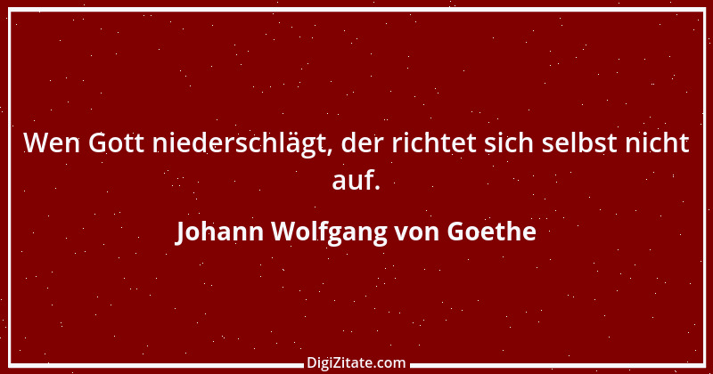 Zitat von Johann Wolfgang von Goethe 2399