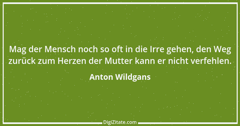 Zitat von Anton Wildgans 6