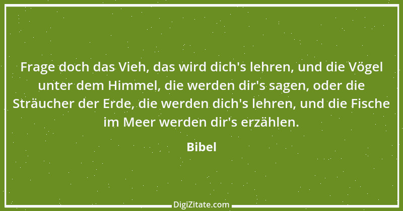 Zitat von Bibel 436