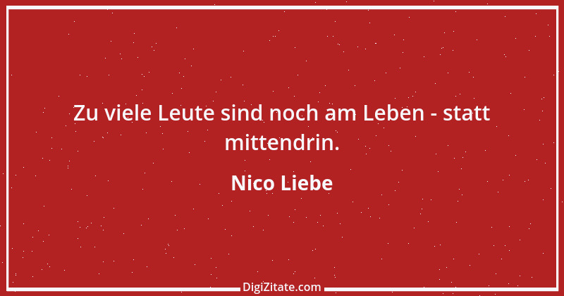 Zitat von Nico Liebe 11